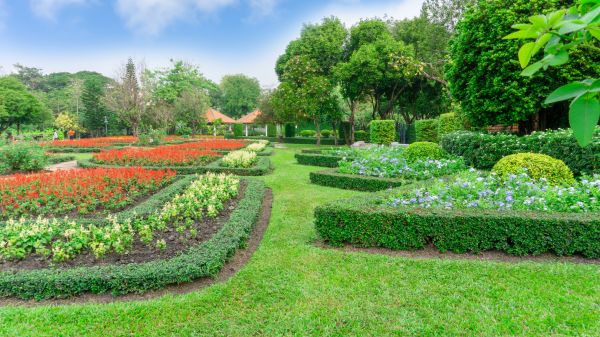 Shrub Border Installation