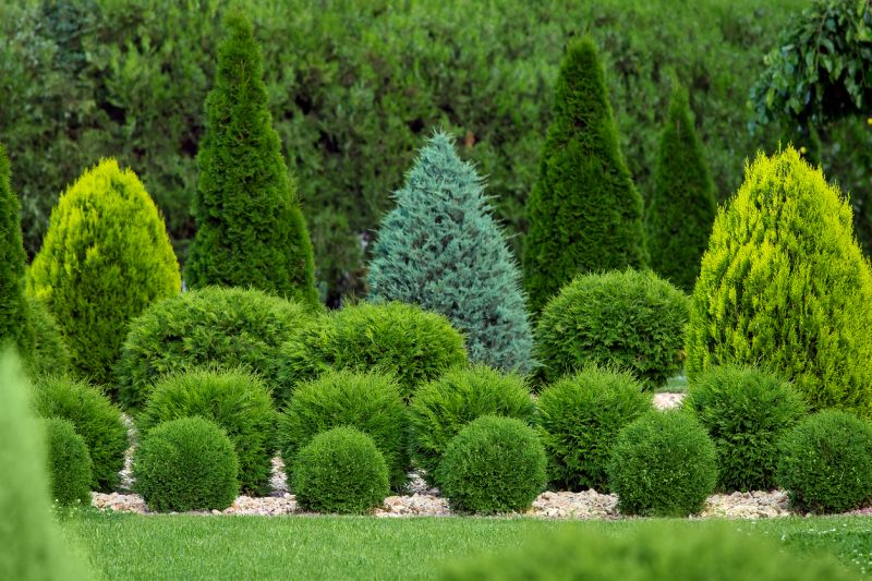 Type of Shrubbery Selected