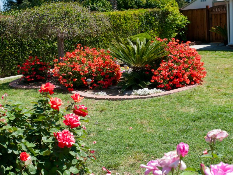 Softscaping Service in Ventura County, CA